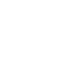 mobi logo