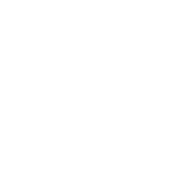 tanto logo